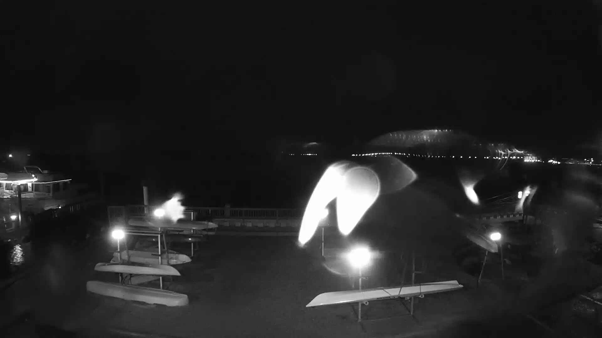Bay Cam