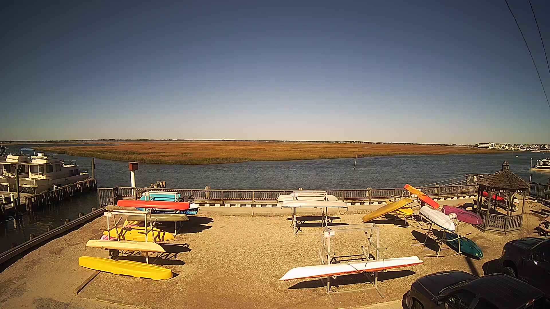 Bay Cam