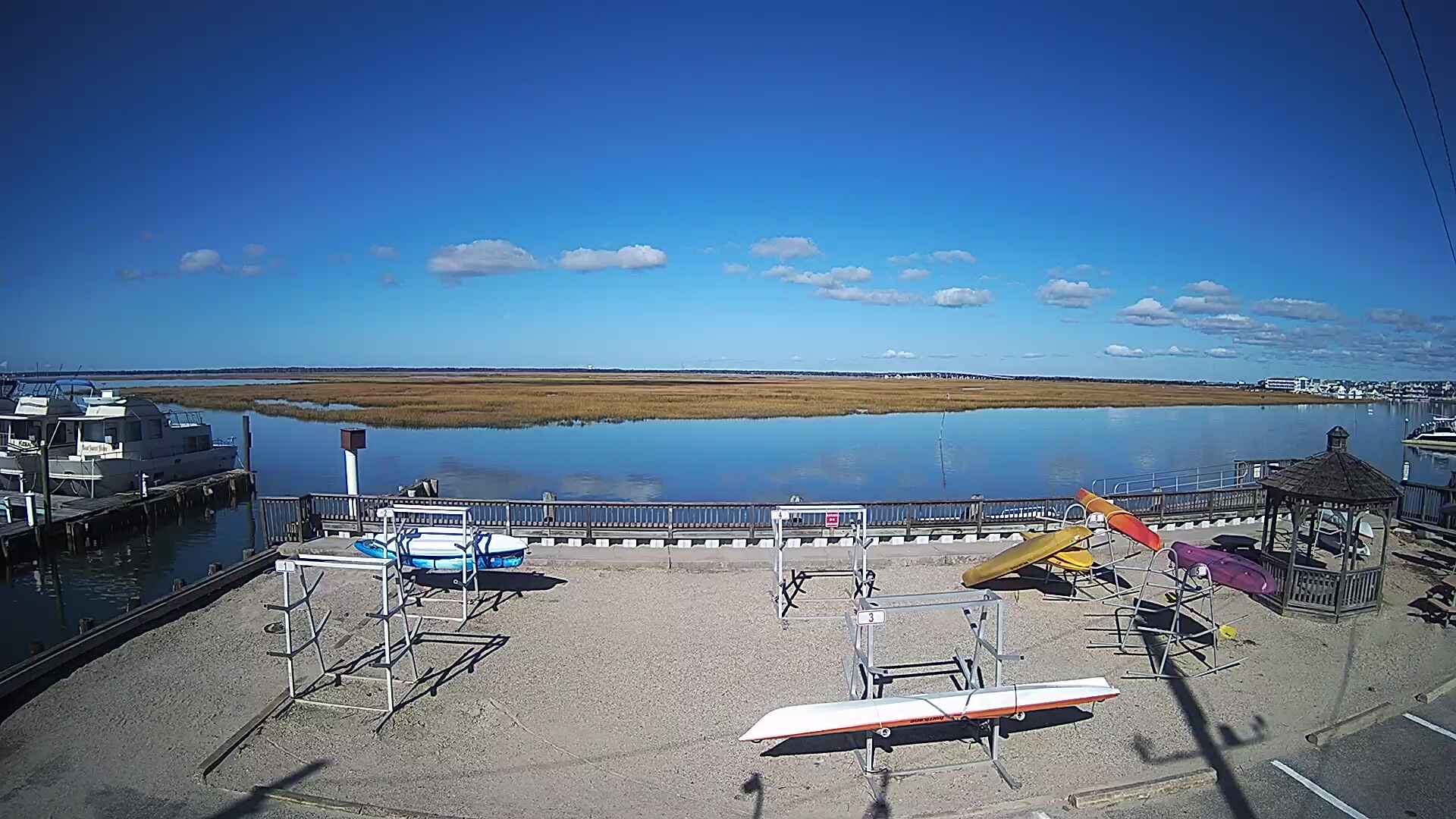 Bay Cam